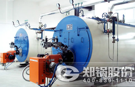 WNS��ȼ��ȼ����¯ - ֣��